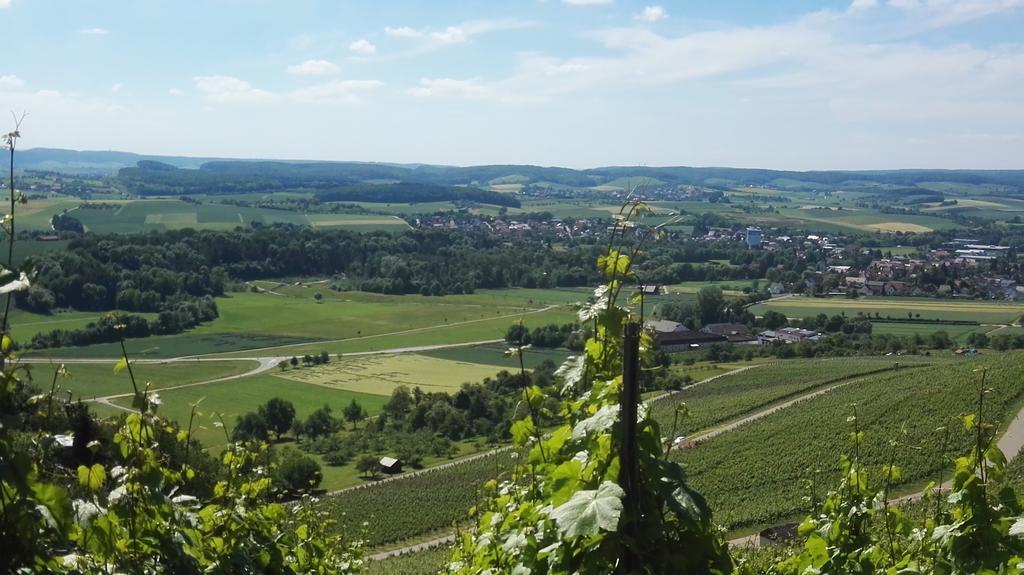 Wein- Appartements Borth Bretzfeld Екстер'єр фото